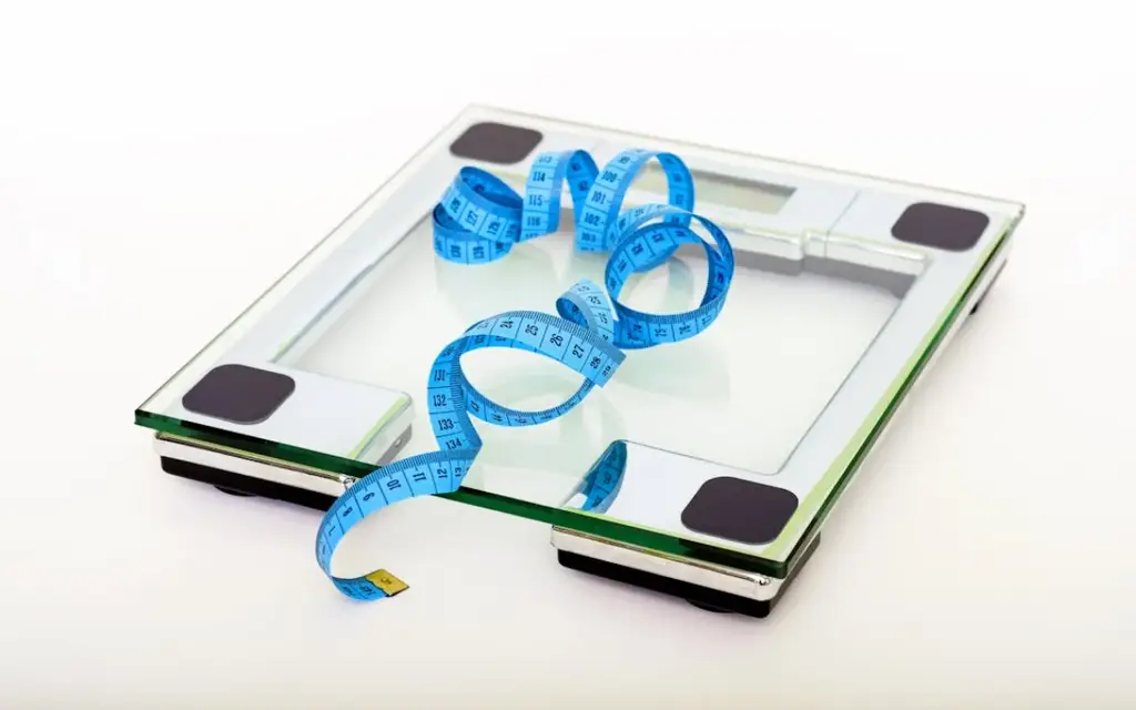 台灣健康減肥攻略：揮別肉肉，打造輕盈體態